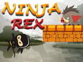 Gêm Ninja Rex ar-lein