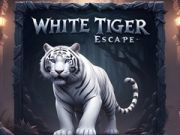 Gêm Dianc Y Tigre Gwyn ar-lein