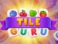Gêm Guru Teils ar-lein
