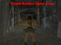 Gêm Tomb Raider: Lara Agored ar-lein