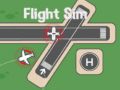 Gêm Simulator Hedfan ar-lein
