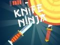 Gêm Ninja gyda llethr ar-lein
