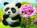Gêm Panda Hapus ar-lein
