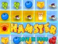 Gêm Hamster Colli Yn Bwyd ar-lein