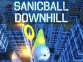 Gêm Sanicball i Ddirgel ar-lein