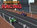 Gêm Rasied Quad ar-lein