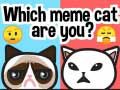 Gêm Pa gath meme ydych? ar-lein