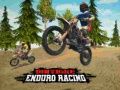 Gêm Ras Enduro Beici ar-lein