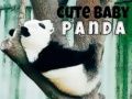 Gêm Panda Babi Cuddly ar-lein
