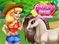 Gêm Gofrestri'r Dewis Ponies Audrey ar-lein