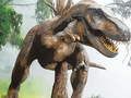 Gêm Pecyn Carnosaur Tyrannosaurus Rex ar-lein