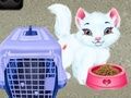 Gêm Gofal anifail Baby Taylor ar-lein