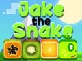 Gêm Jake y Neidr ar-lein