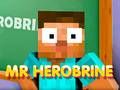 Gêm Mr Herobrine ar-lein