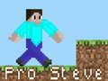 Gêm Pro Steve ar-lein