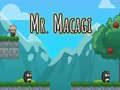 Gêm Mr Macagi ar-lein