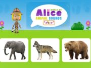 Gêm Byd Sŵn Anifeiliaid Alice ar-lein