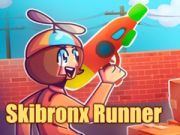 Gêm Rhedeg Skibronx ar-lein