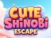 Gêm Ffoesgres Shinobi Cŵl ar-lein