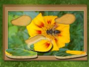 Gêm Dod o hyd ac adfer: pos cudd ar-lein