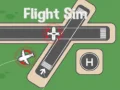 Gêm Simulator Hedfan ar-lein