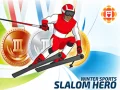 Gêm Chwaraeon Gaeaf: Arwr y Slalom ar-lein