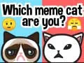 Gêm Pa gath meme ydych? ar-lein