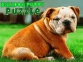 Gêm Puzzl Puppy Bulldog ar-lein Gêm Puzzl Puppy Bulldog ar-lein