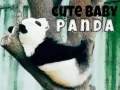 Gêm Panda Babi Cuddly ar-lein