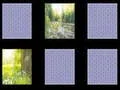 Gêm Cof Natur ar-lein