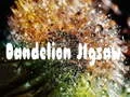 Gêm Dimensiynau Crafangau ar-lein Gêm Dimensiynau Crafangau ar-lein