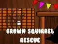 Gêm Achub y Bwncath Brown ar-lein