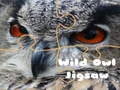 Gêm Pecyn Gyflaen Eryr Gwyllt ar-lein Gêm Pecyn Gyflaen Eryr Gwyllt ar-lein
