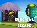Gêm Dianc y gŵl Buho ar-lein Gêm Dianc y gŵl Buho ar-lein