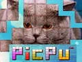 Gêm PicPu Cath ar-lein Gêm PicPu Cath ar-lein