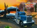 Gêm Simulators Gyrrwr 18 Olwyn ar-lein Gêm Simulators Gyrrwr 18 Olwyn ar-lein
