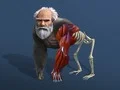 GĂȘm Evolusi Ddiweithredol: O Gell i Person ar-lein GĂȘm Evolusi Ddiweithredol: O Gell i Person ar-lein
