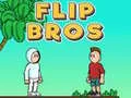 Gêm Flip Brodyr ar-lein