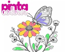 Gêm Pinta Lliw ar-lein