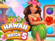 Gêm Hawaii Cydweddiad 5 ar-lein Gêm Hawaii Cydweddiad 5 ar-lein
