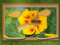 Gêm Dod o hyd ac adfer: pos cudd ar-lein