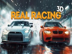 GĂȘm Rasio go iawn 3D ar-lein GĂȘm Rasio go iawn 3D ar-lein