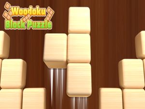 Gêm Pos bloc Woodoku ar-lein