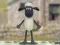 Gêm Shaun y Defaid: Rhyddhad Woolly! ar-lein