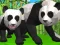 Gêm Simulydd Panda 3D ar-lein