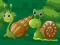 Gêm Pocedi Ddeilen Cuten Snails ar-lein