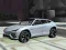 Gêm Stunts Car Crazy: Ffort Heddwch ar-lein