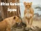 Gêm Jigsaw Carnivore Affrica ar-lein