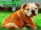 Gêm Puzzl Puppy Bulldog ar-lein