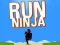 Gêm Rhedeg Ninja ar-lein